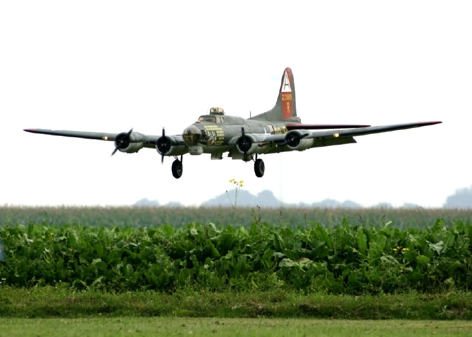 B17.jpg