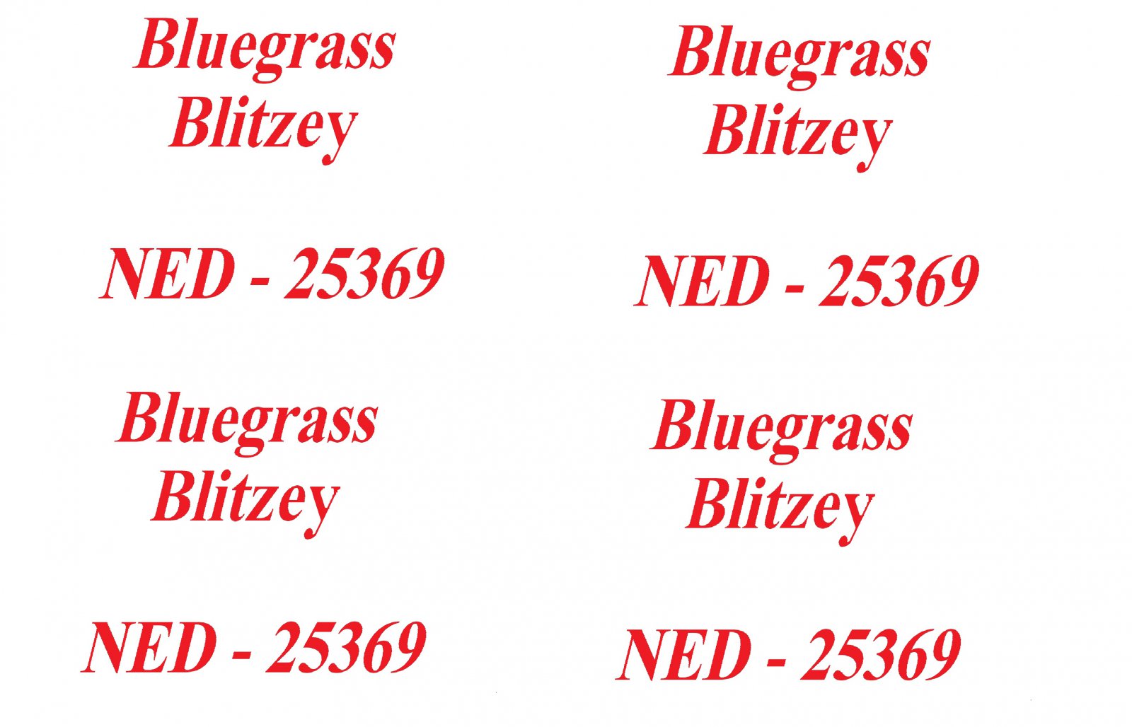 Bluegrass Blitzey vleugel tekst 3.jpg