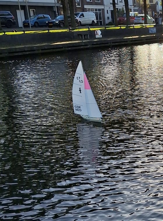 Voyager met roze punt fok..jpg