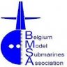 BMSA