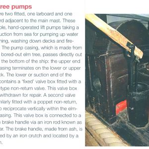 Elm Tree Pump