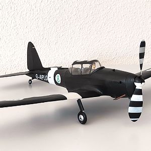 Aerographics_Chipmunk-083