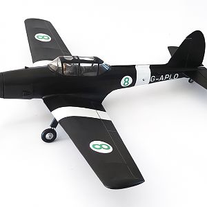 Aerographics_Chipmunk-088