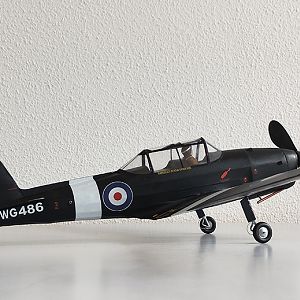 Aerographics_Chipmunk-136