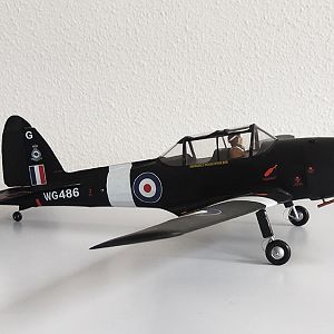 Aerographics_Chipmunk-137